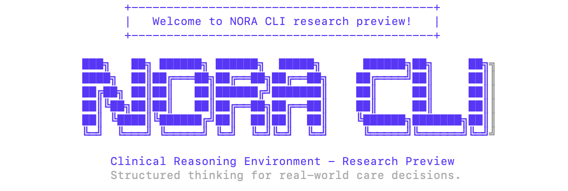 NORA CLI Research Preview